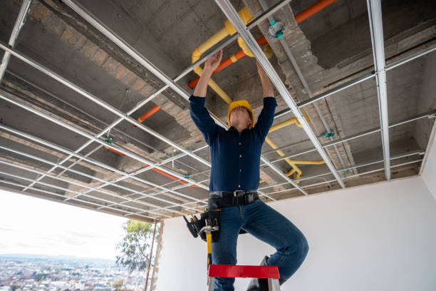Best Emergency Plumber  in Hill N Dale, FL